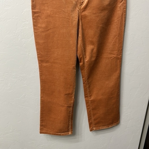 Loft the straight crop high rise pants size 32. NWT. - Picture 3 of 13